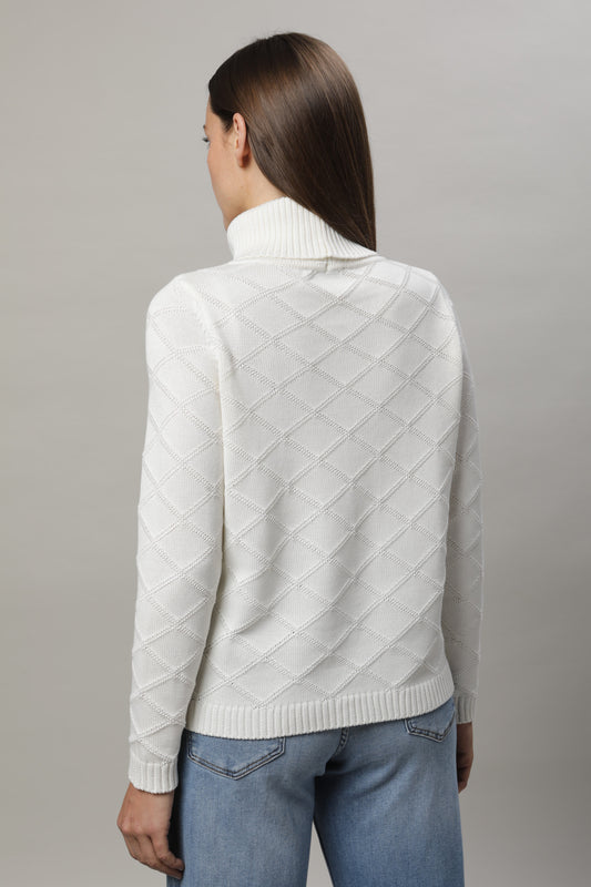 Pullover mit mit Rollkragen und Strukturmuster